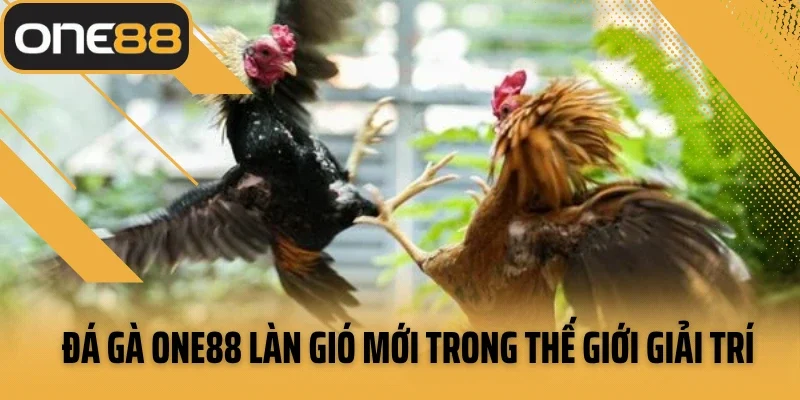 Đá gà ONE88 làn gió mới trong thế giới giải trí chọi gà