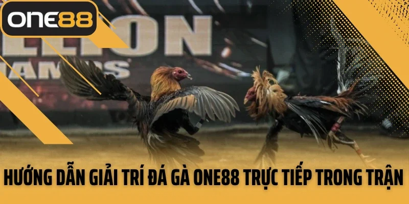 Hướng dẫn giải trí đá gà ONE88 trực tiếp trong trận