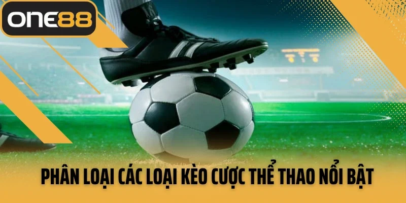 Phân loại các loại kèo cược thể thao nổi bật